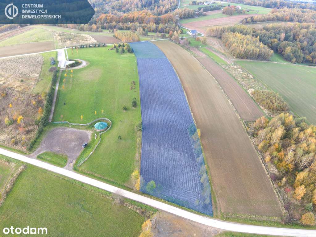 Działki z niepowtarzalnym widokiem- Niechobrz - Pełny obrazek: 4/7