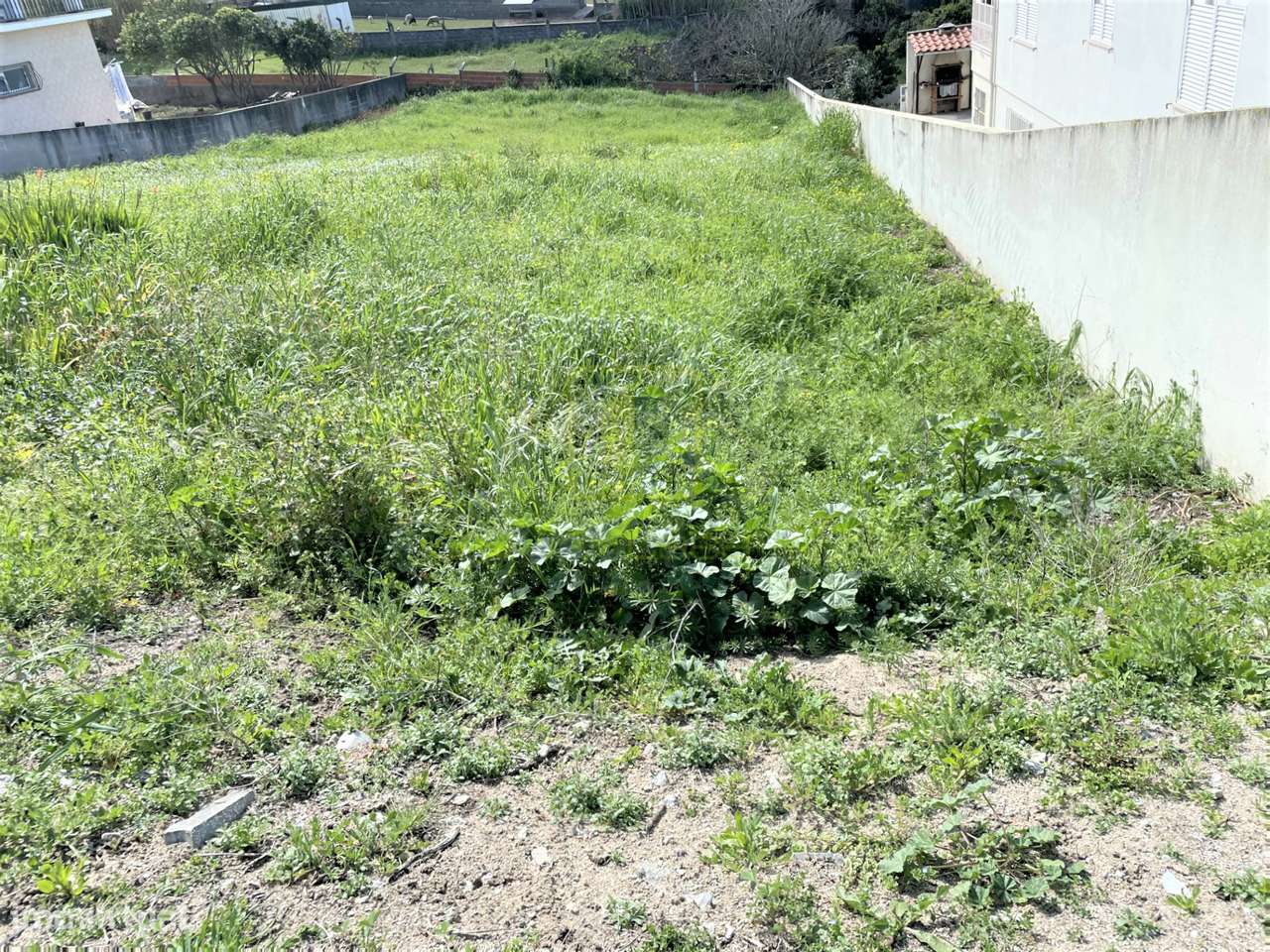 Terreno - Grande imagem: 2/12