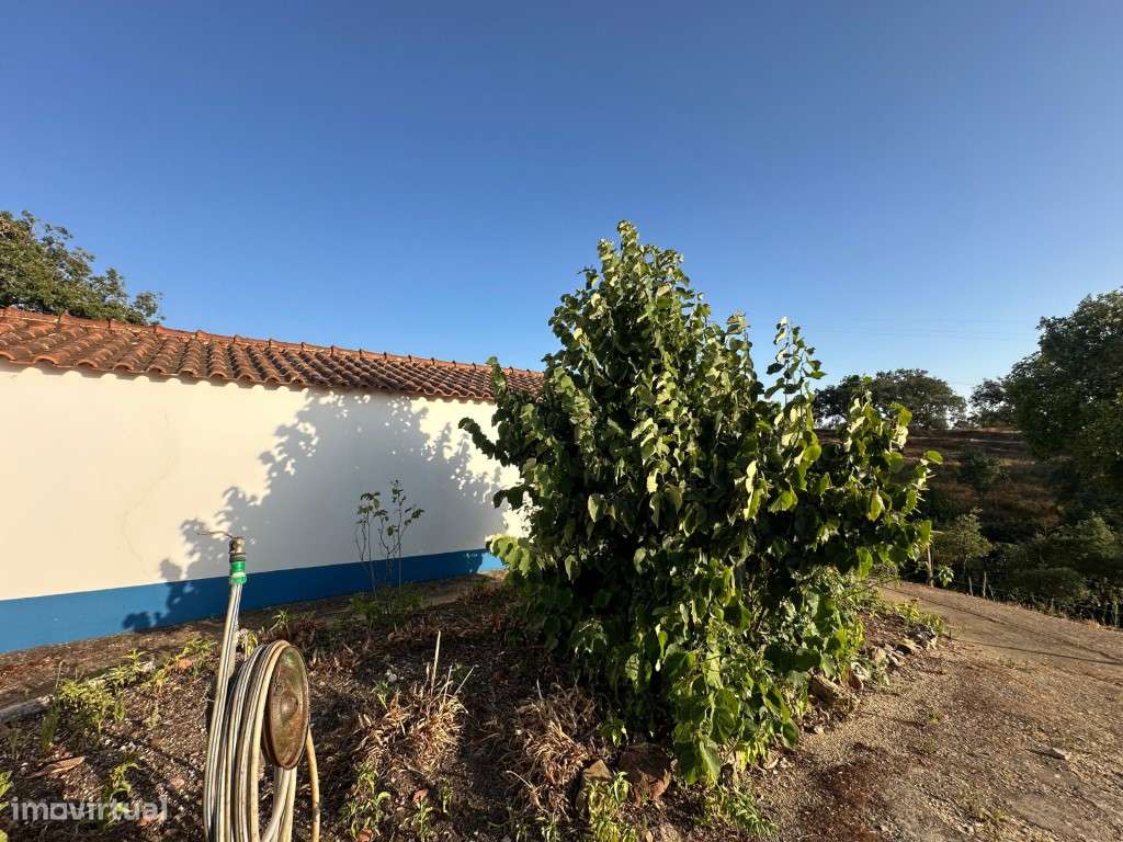 Monte Alentejano com 3,4 ha de natureza e potencial turístico-8