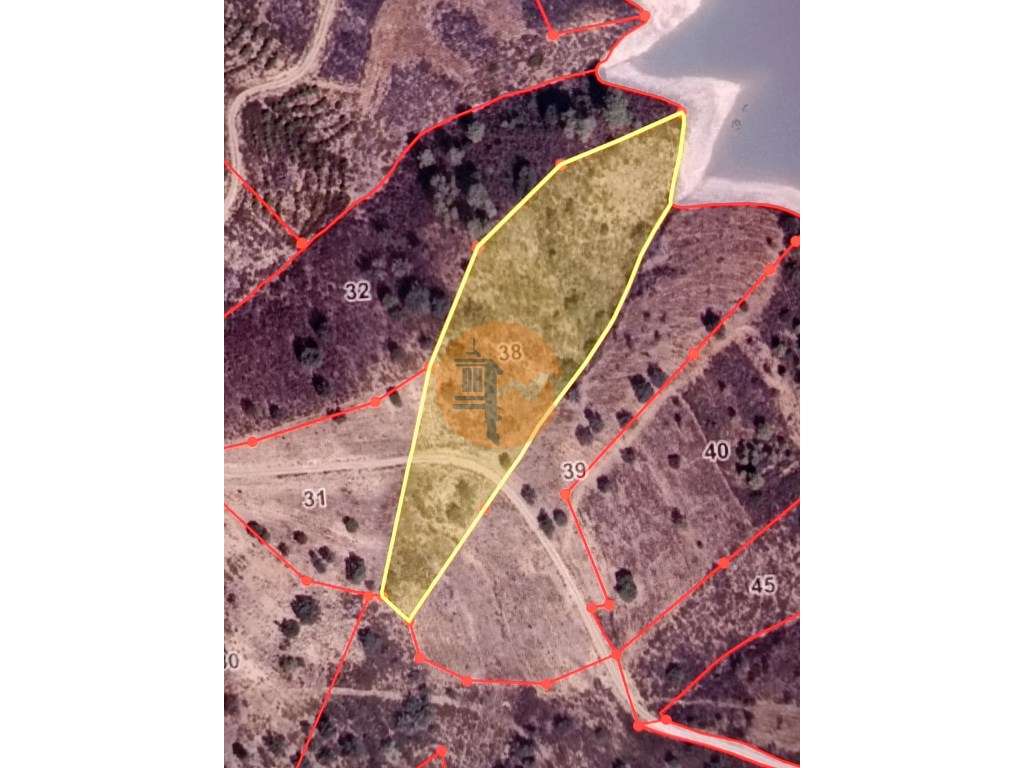 TERRENO COM 7.120 M2 - JUNTO A ÁGUA - ALCARIAS GRANDES - CASTRO MAR... - Grande imagem: 2/22