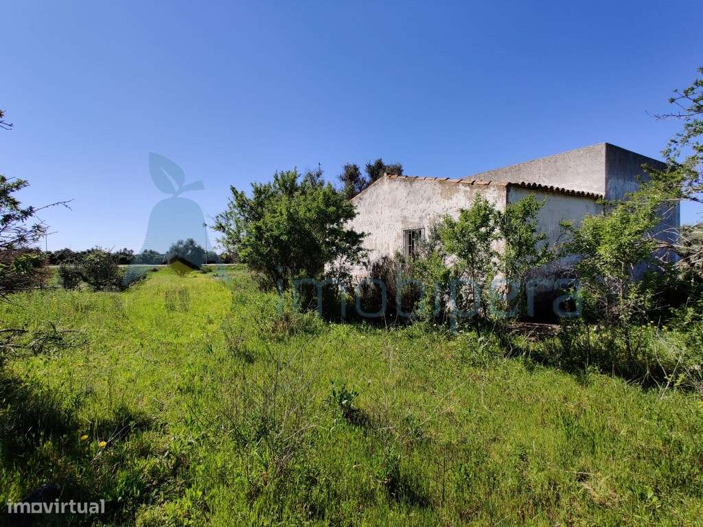 Terreno com Casa com 11.950 m2 - Armação de Pêra - Sítio da Valim - Grande imagem: 3/21