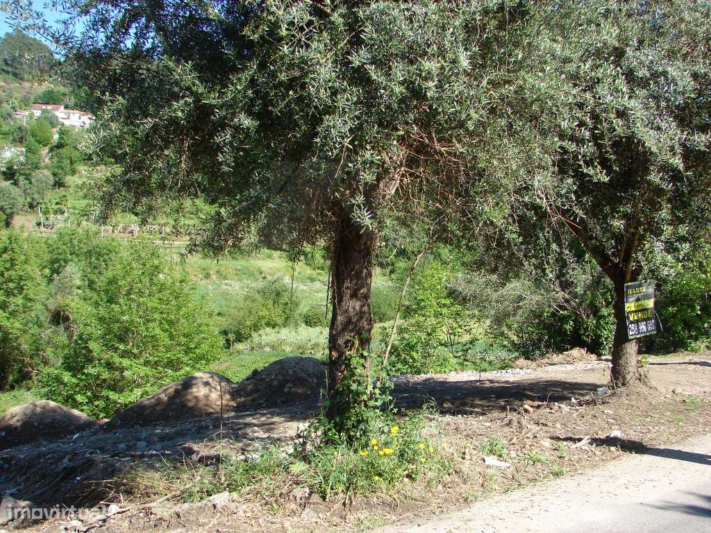 Terreno junto ao Rio em Gandra- Ponte de Lima - Grande imagem: 3/4