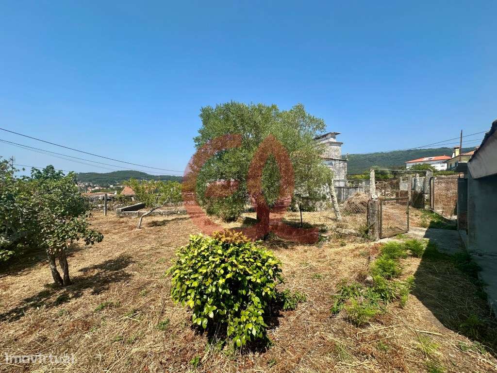 Terreno - Afife, Viana do Castelo - Grande imagem: 5/13