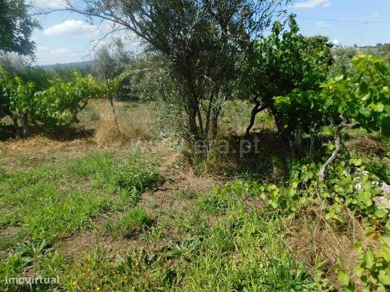 Terreno / Gouveia, Cativelos - Grande imagem: 3/13