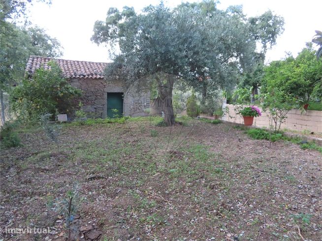 Quinta  para venda-5