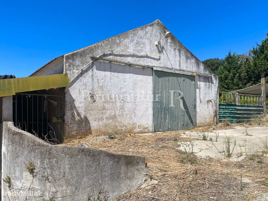Complexo Agricola com 35.640 m² e 1.907 m² de área de construção-14