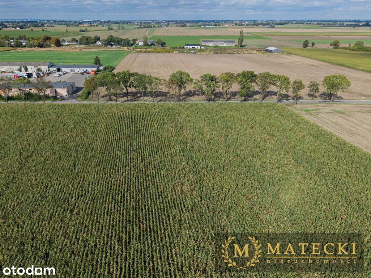Działka AG  - 7 km od Poznania-11