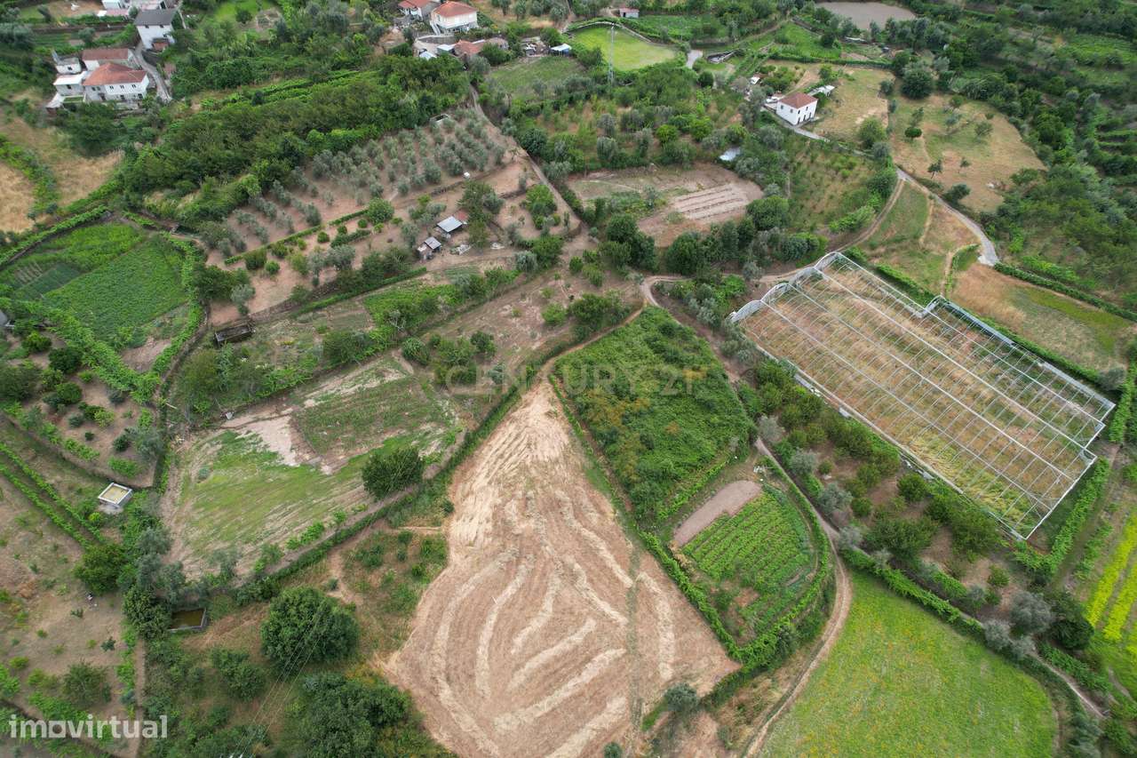 Quinta em Miomães, Resende | Um refúgio rural com cerca de 4 hectares-12