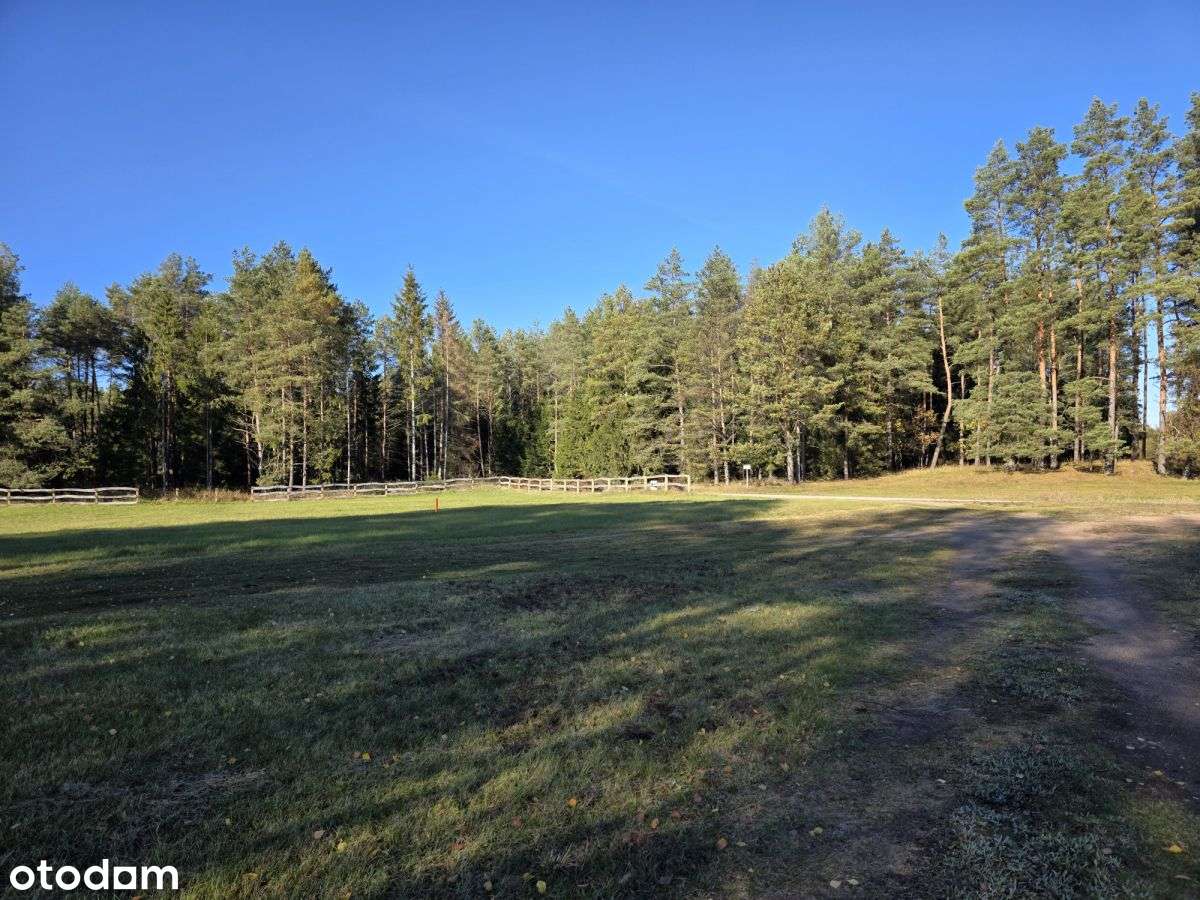 Działka Budowlana Walne, Gmina Nowinka - Pełny obrazek: 4/6