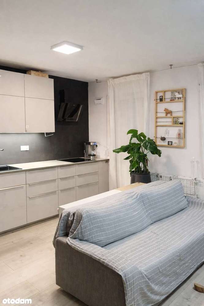 Mieszkanie  2 pokojowe z prywatnym ogródkiem na Muchoborze Wielkim-1