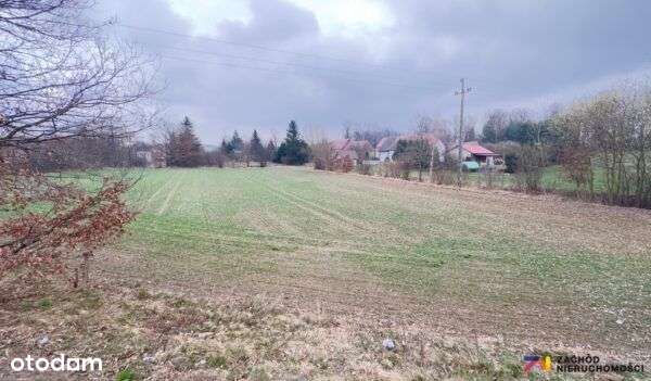 Działka inwestycyjna w Ocicach ! - Pełny obrazek: 4/4