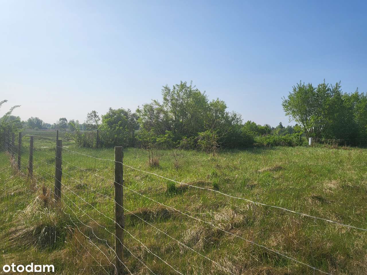 Działka 935 m2 z warunkami zabudowy - Stepniczka - Pełny obrazek: 5/7