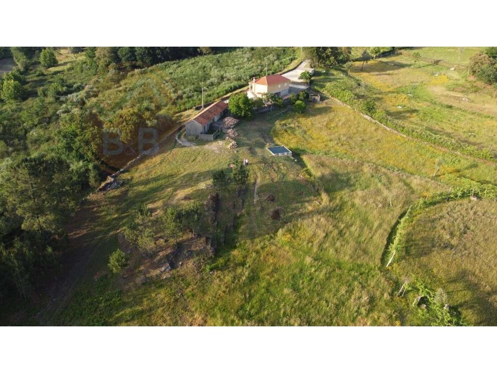 Quinta Rural em Leiradas, Rio Douro, Cabeceiras de Basto-48