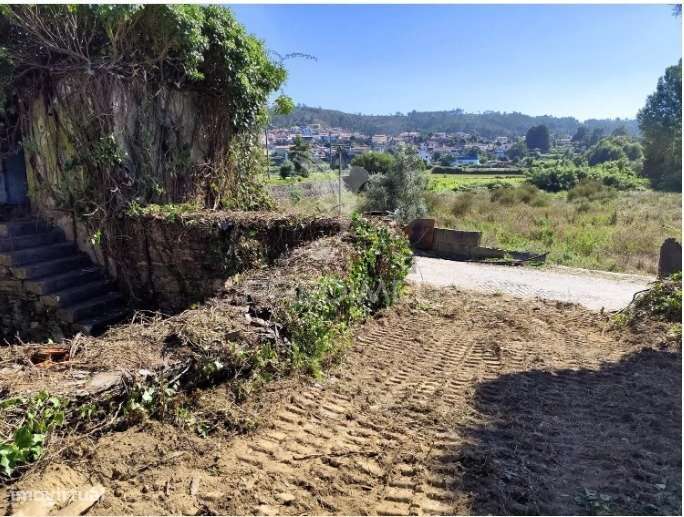 Casa em Xisto para Restauro - Grande imagem: 4/8