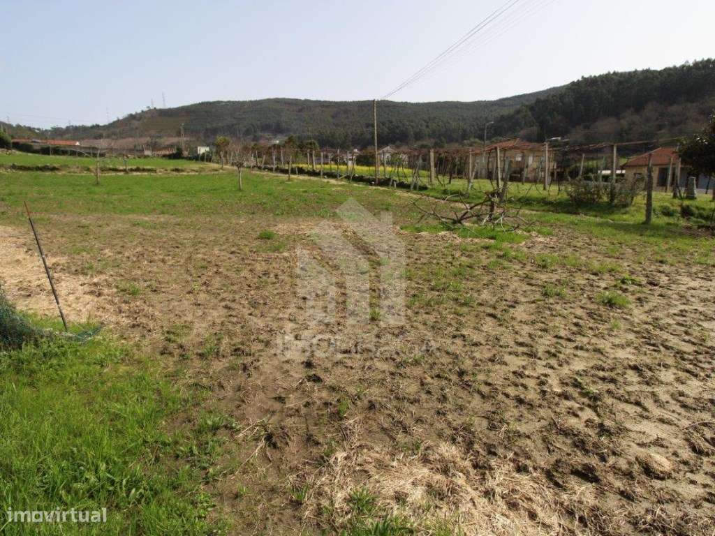 Venda Terreno com possibilidade de Lotear, em S. Mamede (Este), Braga-45