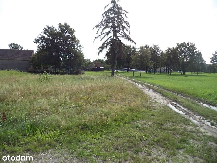 Działka w miejscowości Suchleb gm. Lipinki Łużyckie - Pełny obrazek: 5/5