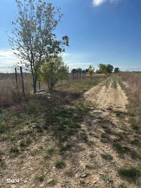 Teren Corbu Plaja - Imagine principală: 4/5