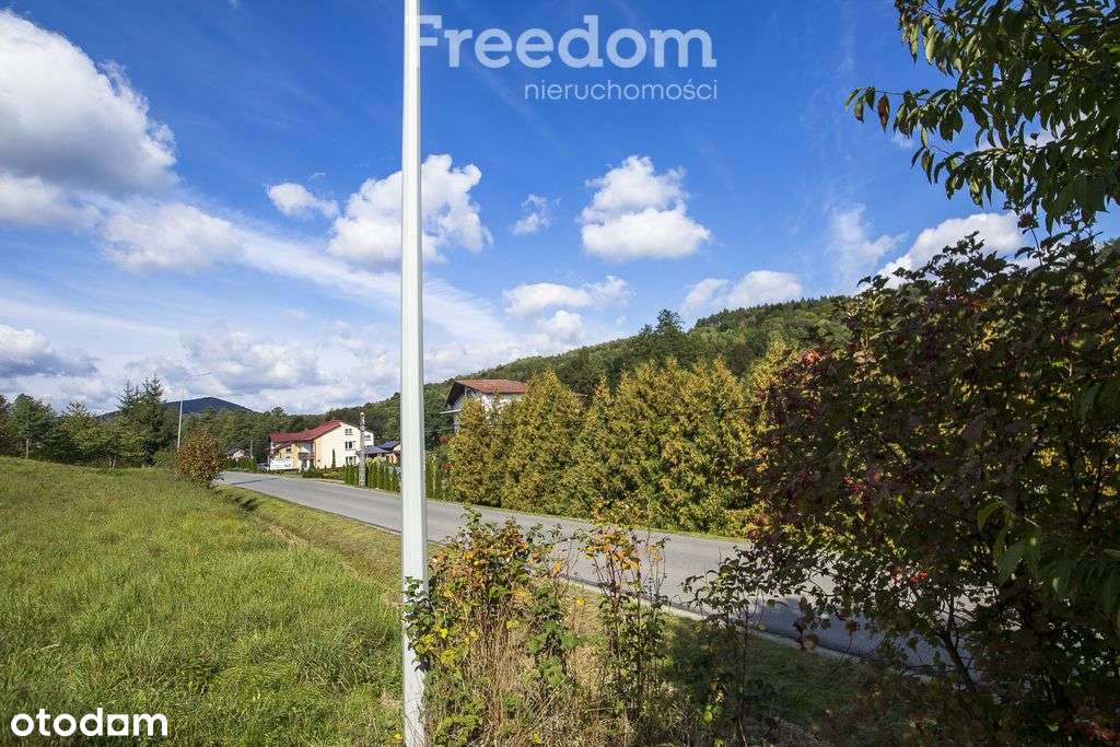 Działka budowlana z widokiem | 41 ar w Cieszynie-6