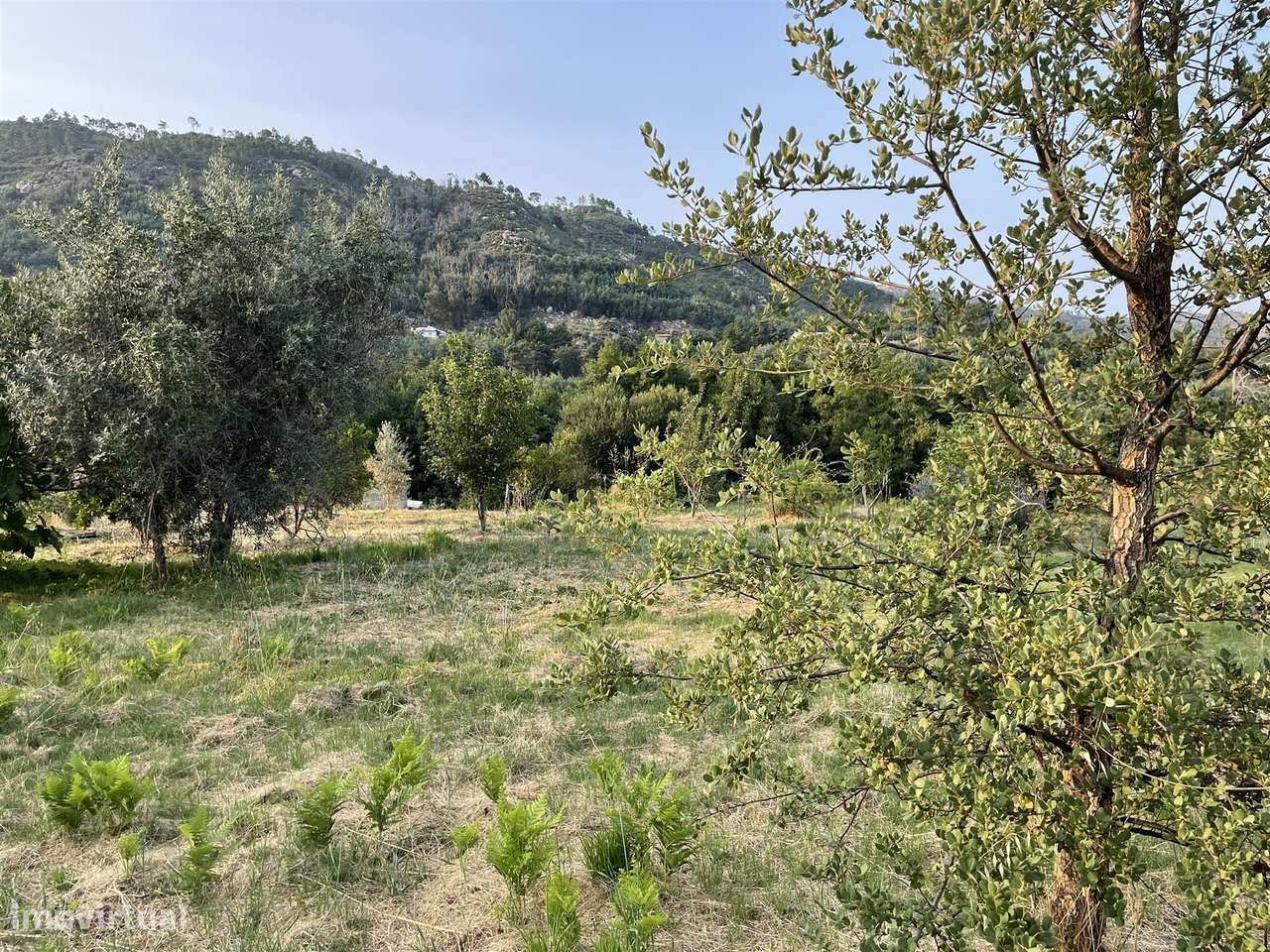 Moradia Isolada T3 Venda em Louriçal do Campo,Castelo Branco-23