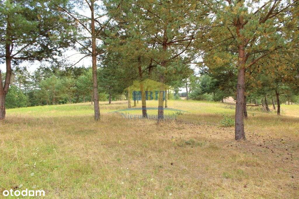 Działka 8,58 ha z widokiem panoramicznym-14