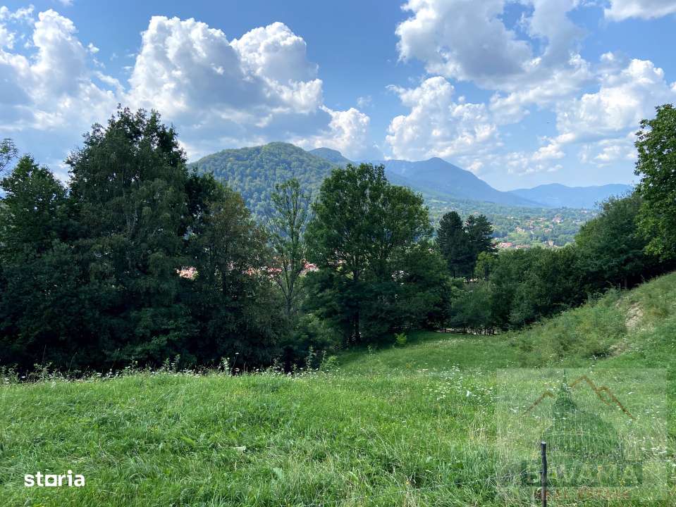 Teren intravilan de vanzare, cu vedere catre Castelul Bran - Imagine principală: 5/6