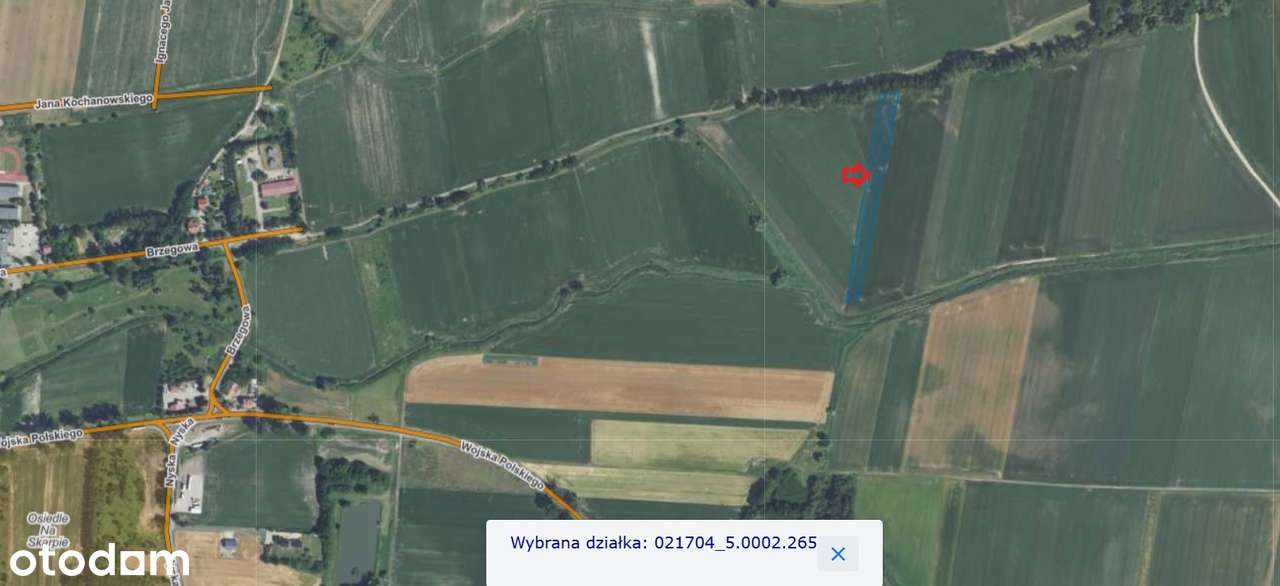 Dwie działki rolne na sprzedaż | Biedrzychów | 2,37 ha i 0,76 ha-4