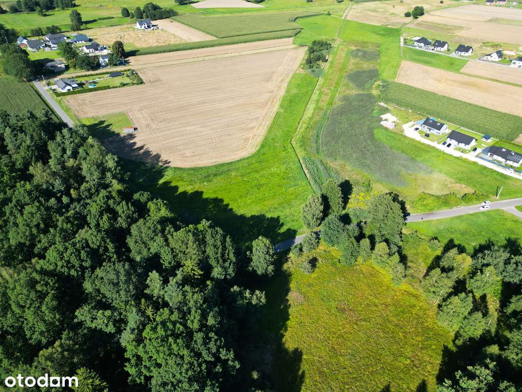 Pasieki, las, media i asfalt - idealne !-9