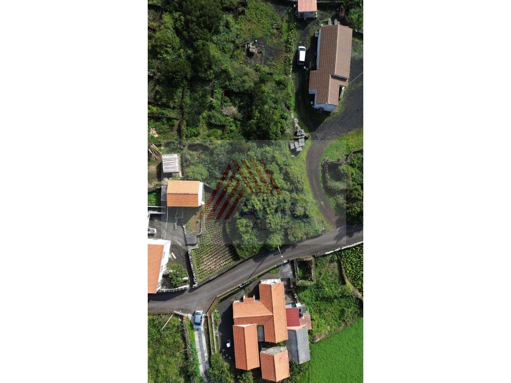 Terreno c/Viabilidade Construção, Candelária, Madalena Pico - Grande imagem: 5/11