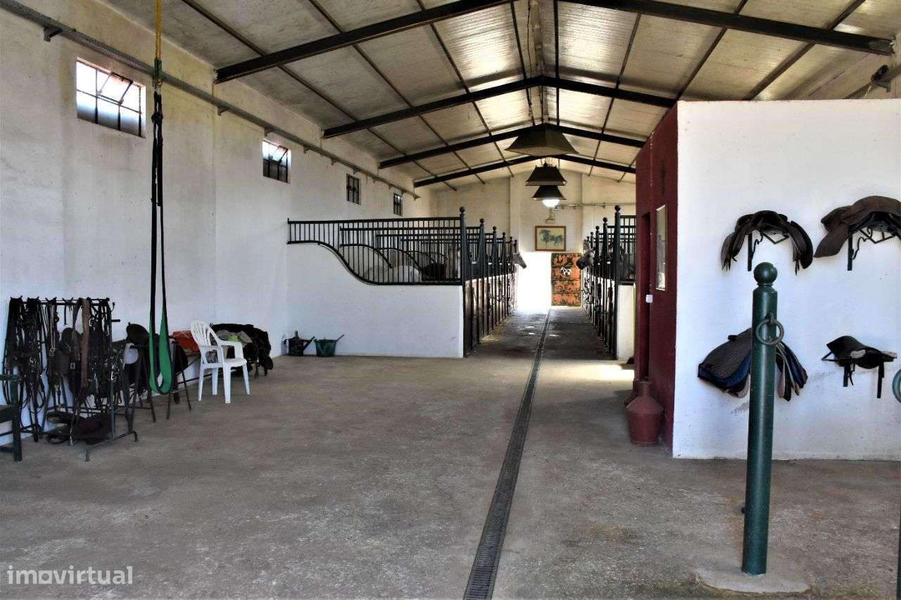 Quinta em Évora com 2,25 ha vocacionada para o mundo equestre-23