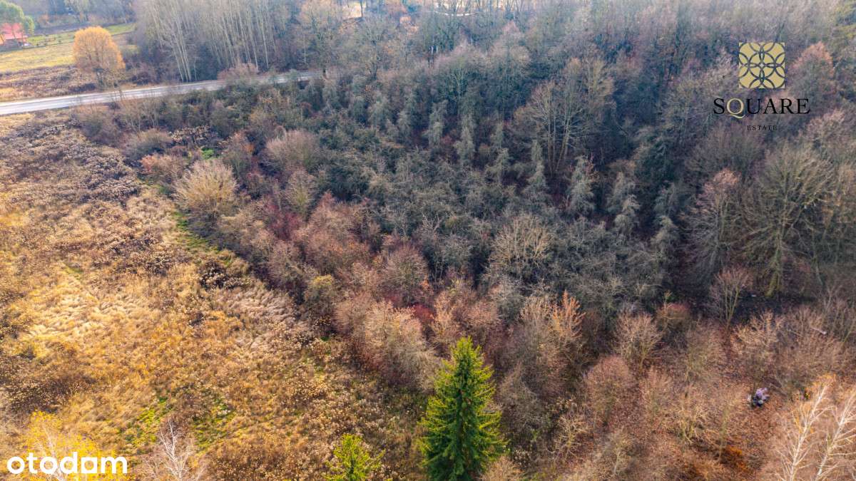 Słomczyn Konstancin- Jeziorna działka-9