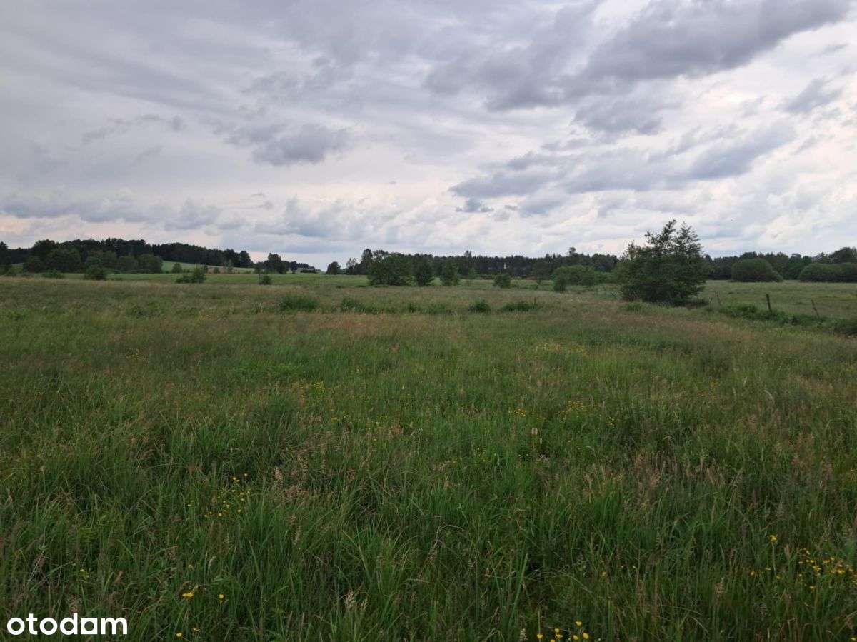 Działka pod rekreację i lokatę-2