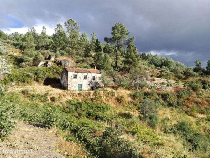 Quintinha T1 / Covilhã, Teixoso e Sarzedo - Grande imagem: 2/14