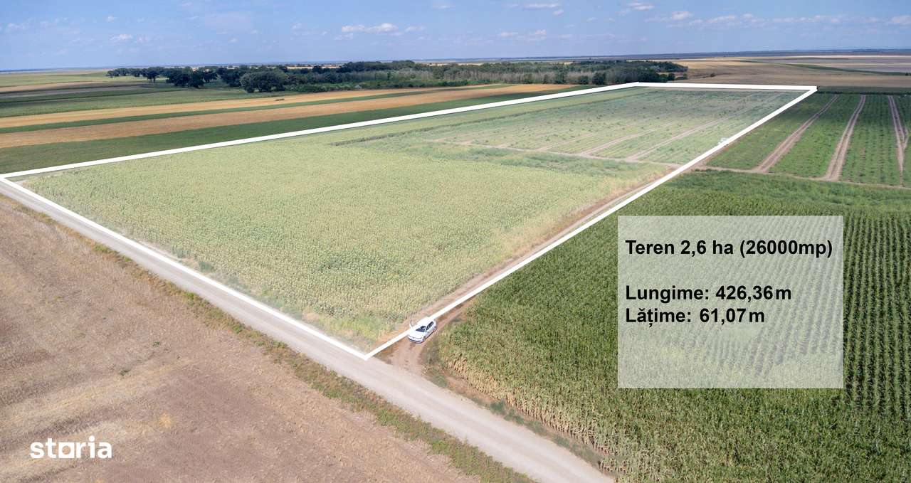 Teren agricol extravilan 2.6 ha - 26.000 mp - Valcelele, Buzau - Imagine principală: 3/15