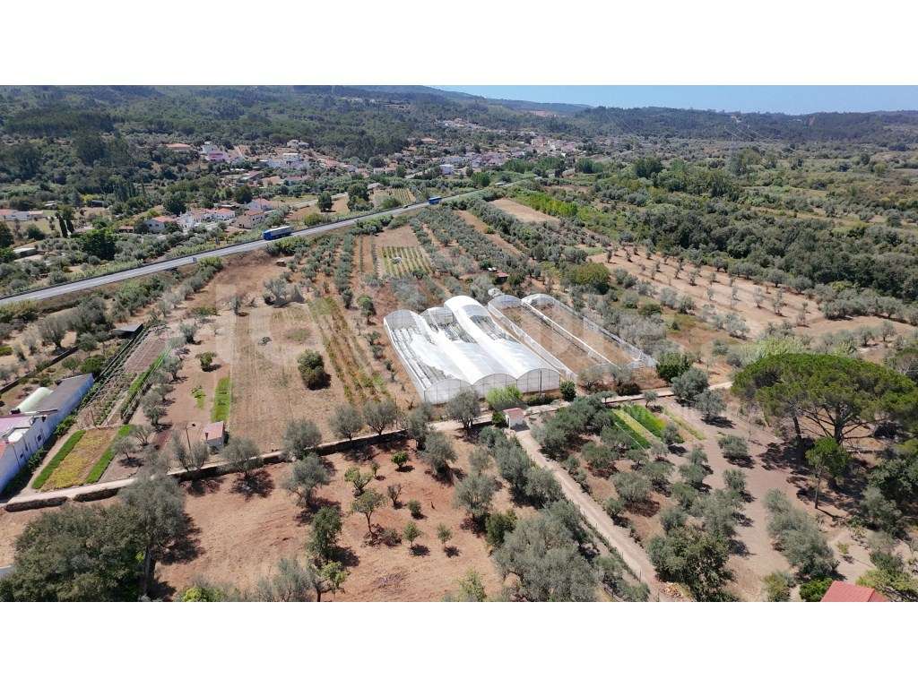 Terreno Agrícola com Estufas Preparadas para Produção em Hidroponia...-20