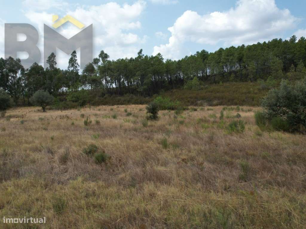 Quinta em Penamacor com 12.000m2 - Grande imagem: 2/5