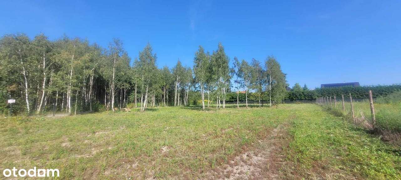 Pełne media/Mpzp/dobra cena/pozwolenie na budowę - Pełny obrazek: 5/20