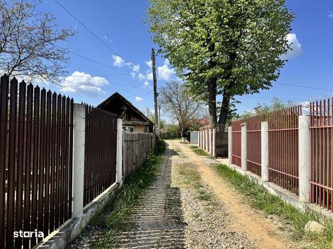 De Vânzare Teren in Periș, Ilfov-9