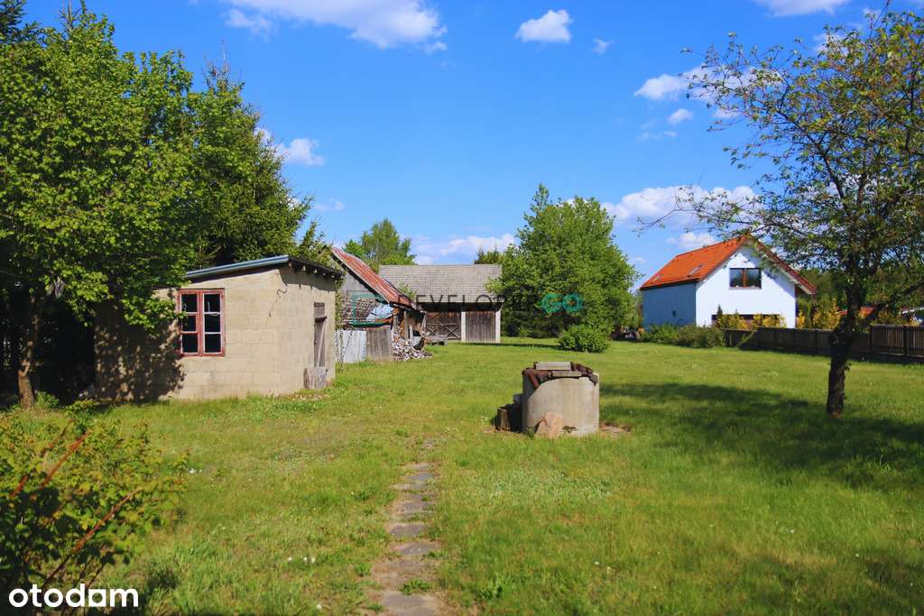 Siedlisko w Puszczy Białowieskiej z 2,8ha gruntu-4