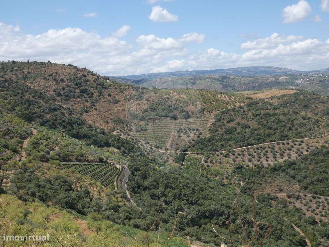 Terreno  para venda - Grande imagem: 4/5