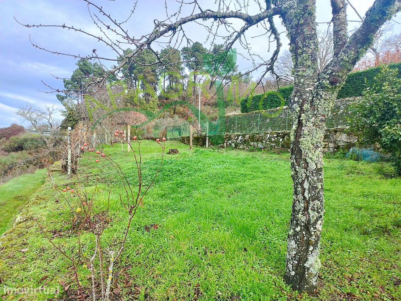 Moradia T2 com garagem e terraço em Penedono-20