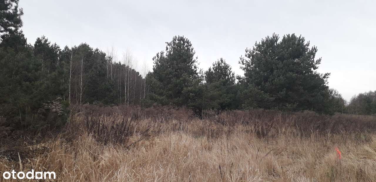 SANTOCKO DZIAŁKA BUDOWLANA 1276 m2-6