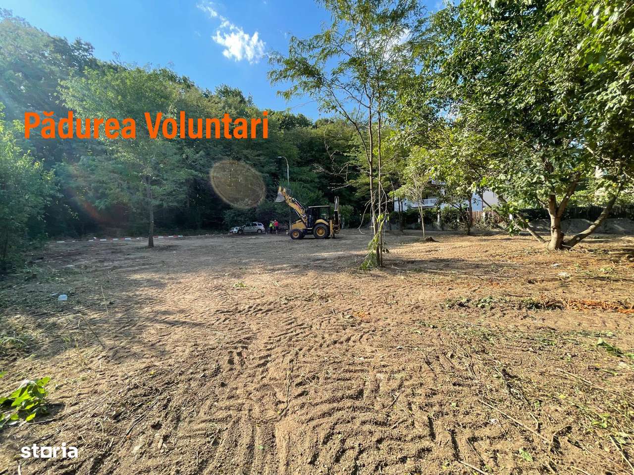 Vand teren la pădure,zona Matei Millo,Erou Mircea Marinescu,Voluntari - Imagine principală: 1/7