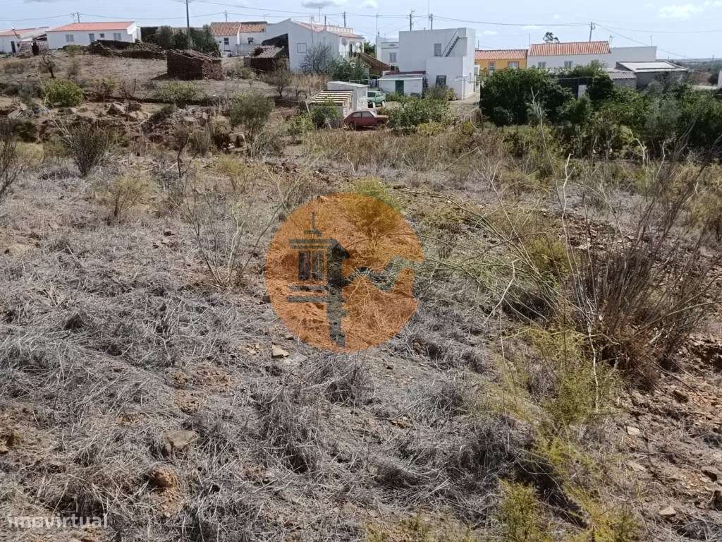 Terreno Rústico com 3.200 m2 sito na Murteira de Baixo, Azinhal em ... - Grande imagem: 4/20