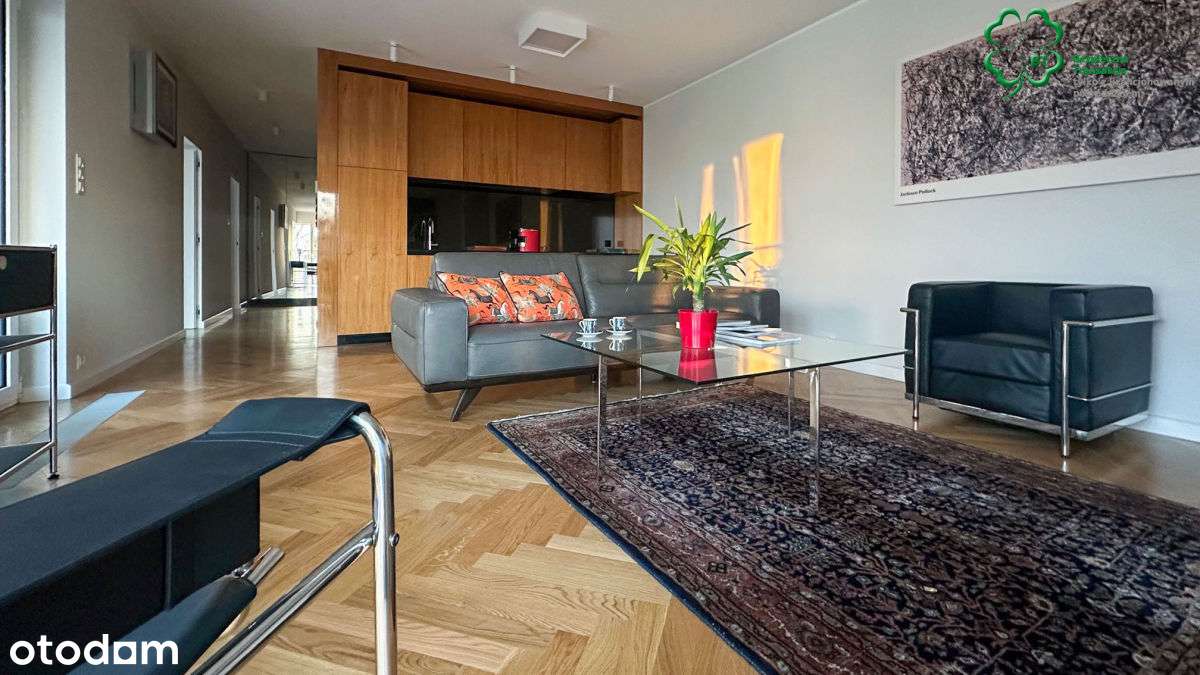 Centrum/Zwierzyniecka,unique apartament for rent - Pełny obrazek: 5/20