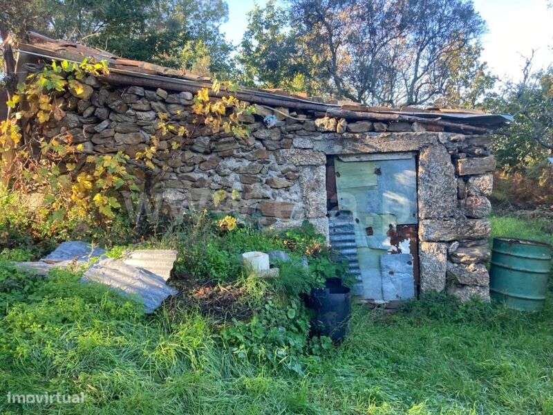 Terreno Rústico / Seia, Seia, São Romão e Lapa dos Dinheiros - Grande imagem: 2/12