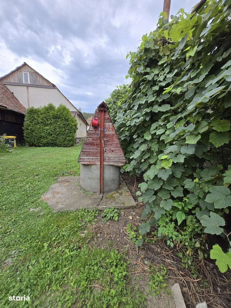 Casa de vanzare - Saros pe Tarnave-12