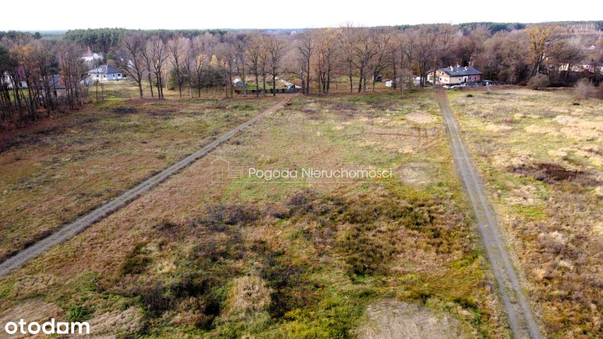 Działki na sprzedaż - Trzebule-10