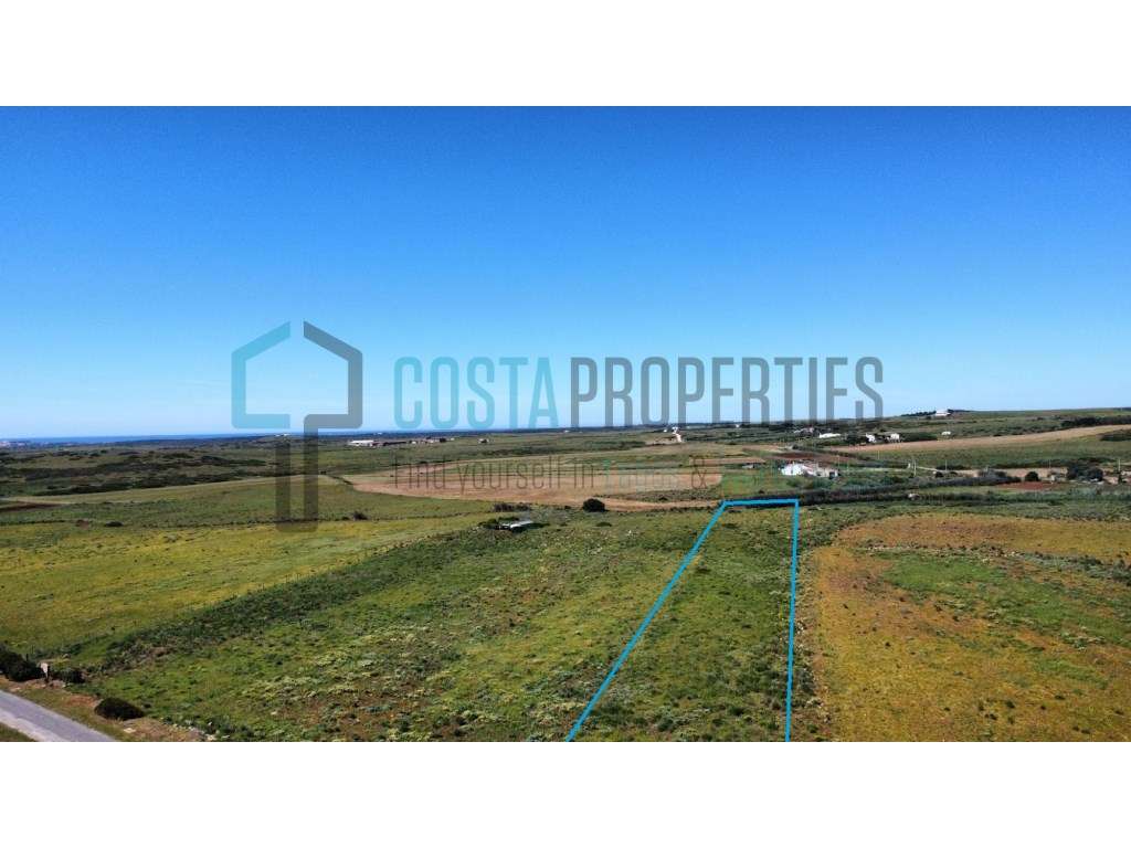 Terreno Rústico a poucos minutos da Vila do Bispo - Grande imagem: 2/21