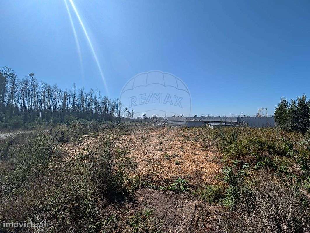 Terreno  para arrendamento - Grande imagem: 4/6