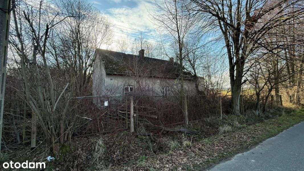 Wilkowiecko, działka budowlano - rolna 2,6 ha, szerokość 94 m - Pełny obrazek: 2/15